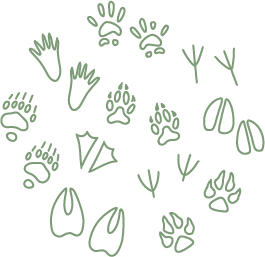 Biodiversité